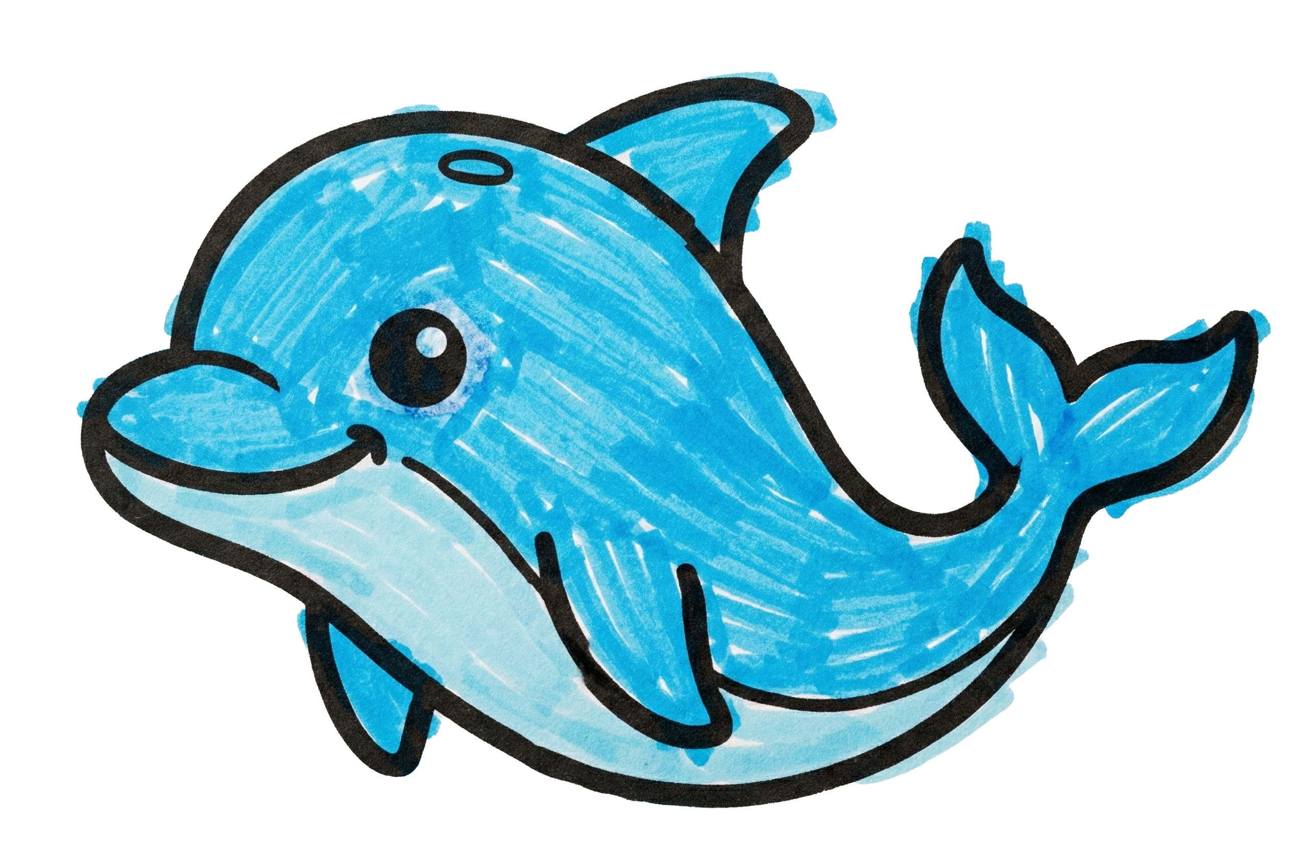 Dolphin drawing
