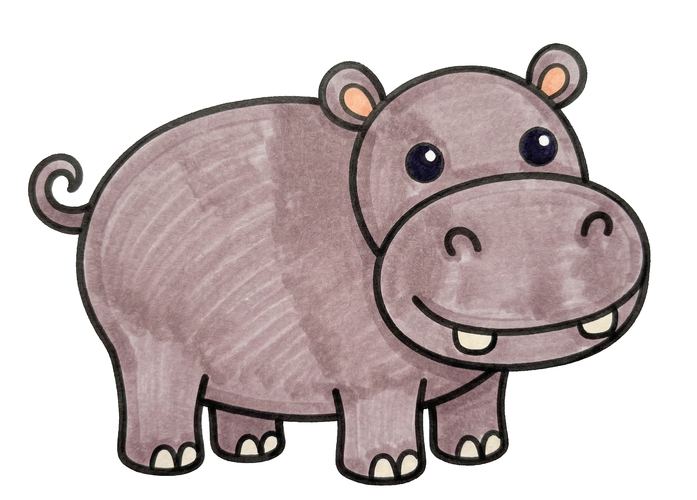 Hippo drawing step