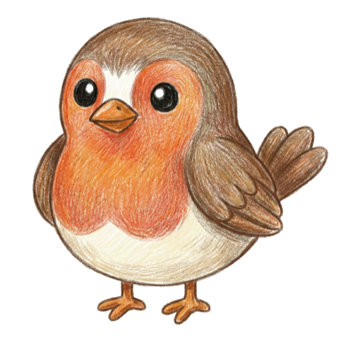 Robin illustration