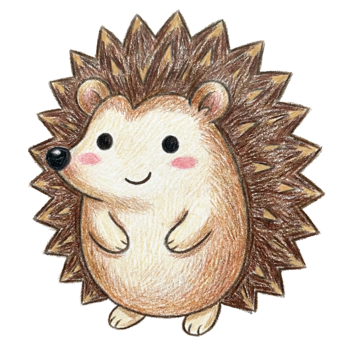 Colourful hedgehog drawing from our how to draw books